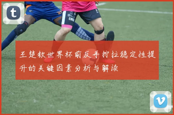 王楚钦世界杯前反手拧拉稳定性提升的关键因素分析与解读